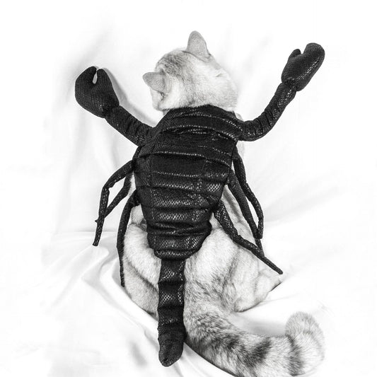 Costume amusant de scorpion pour animal de compagnie pour Halloween