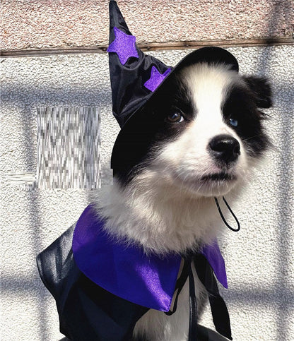 Magical Wizard Pet Costume Set