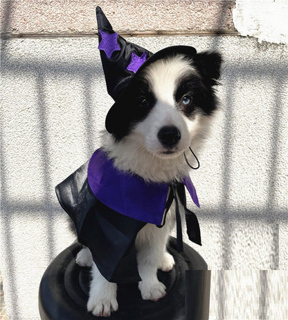 Magical Wizard Pet Costume Set