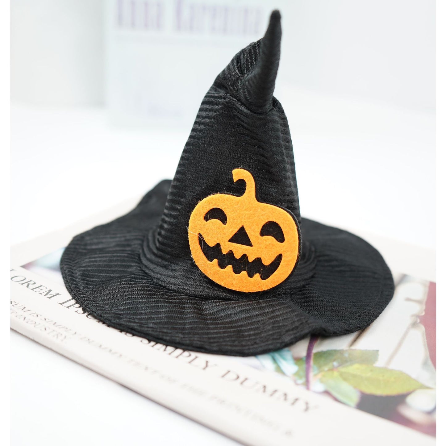 Magic Halloween Pet Hat Transformation