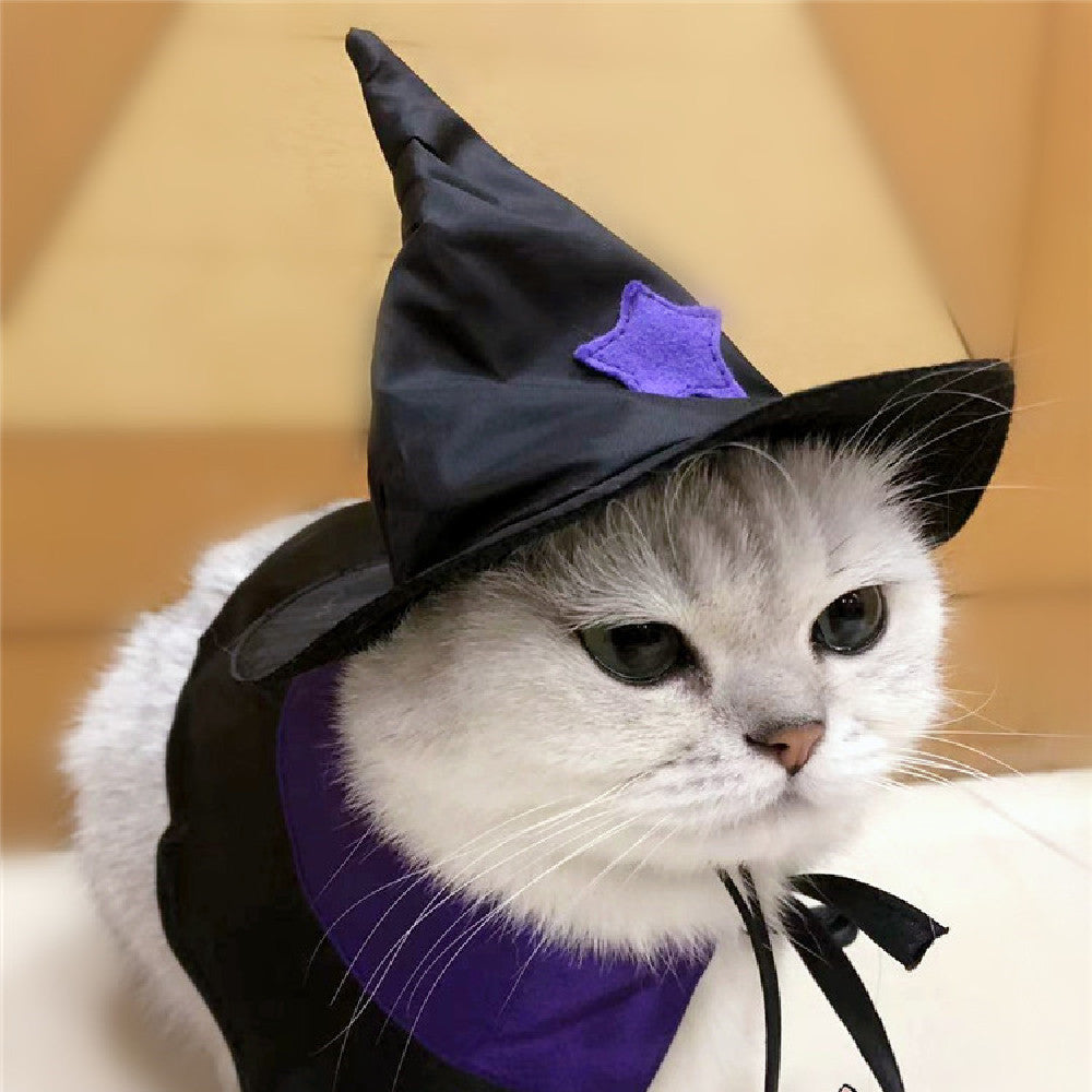 Magical Wizard Pet Costume Set