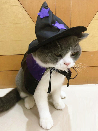 Magical Wizard Pet Costume Set