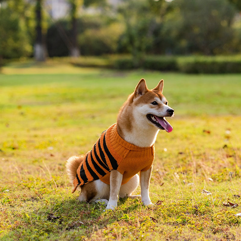 Halloween Dog Sweaters for Perfect Pet Cosplay