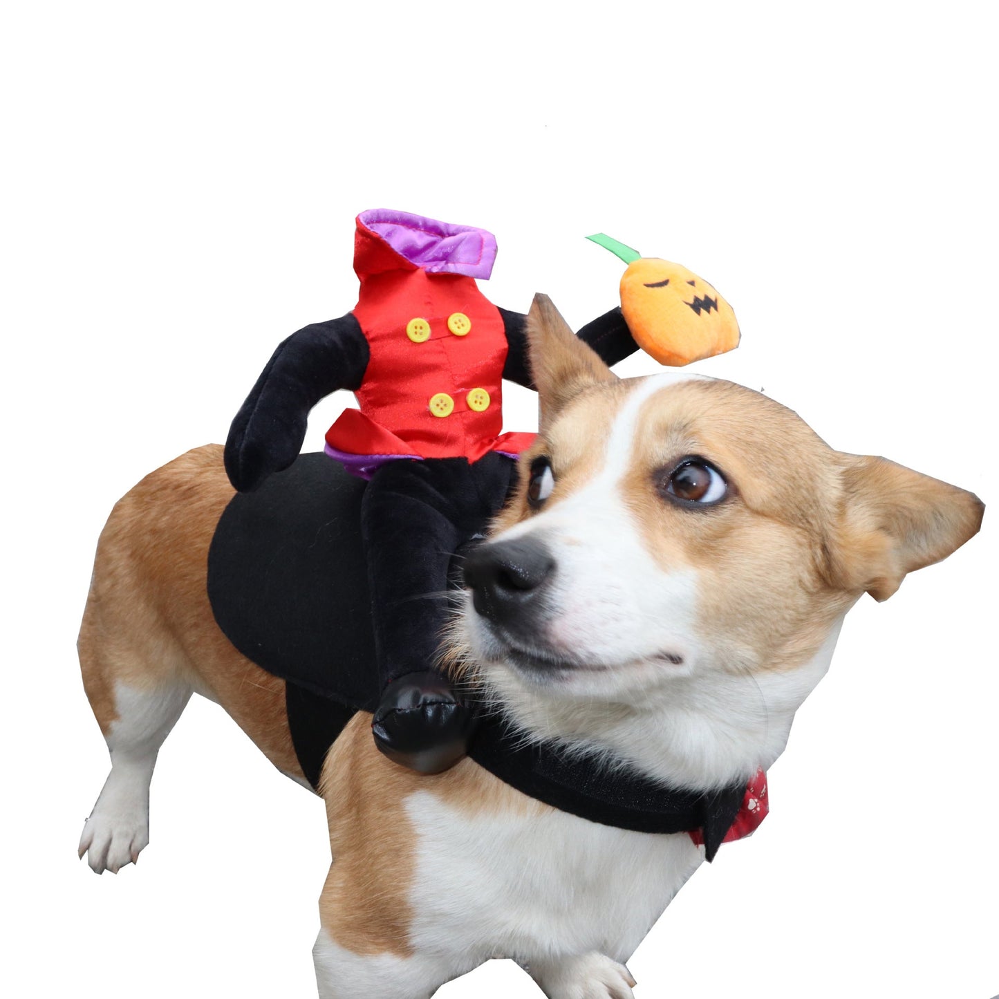 Funny Halloween Dog Costume