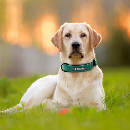 Personalized Leather Dog Collar - Custom Name ID Tags