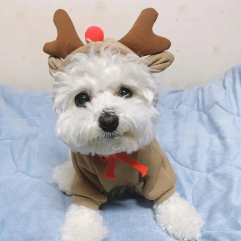 Funny Pet Elk Costume for Small Dogs