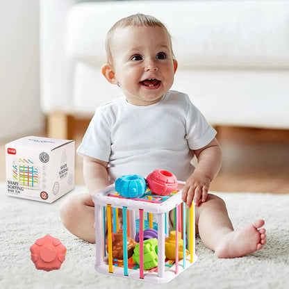 Educational Shape Sorting Baby Toy