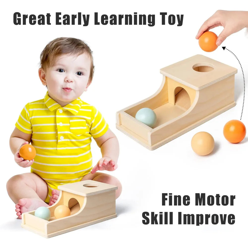 Montessori Infant Wooden Coin Ball Drum