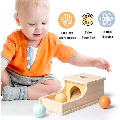 Montessori Infant Wooden Coin Ball Drum