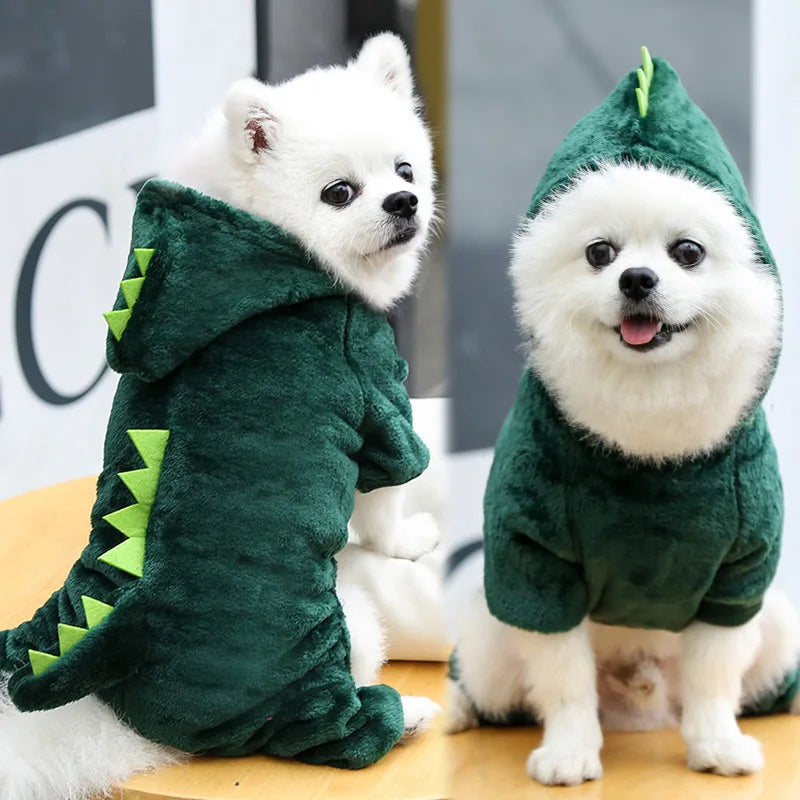 Funny Dinosaur Pet Costume