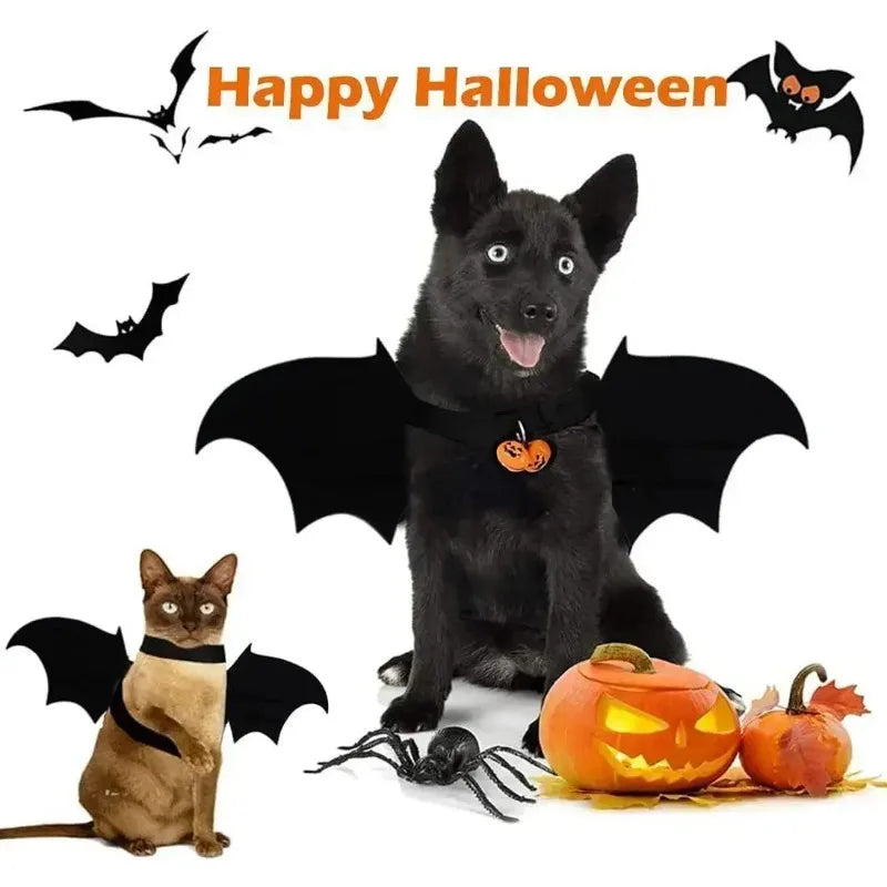 Dog Halloween Bat Wings Costume