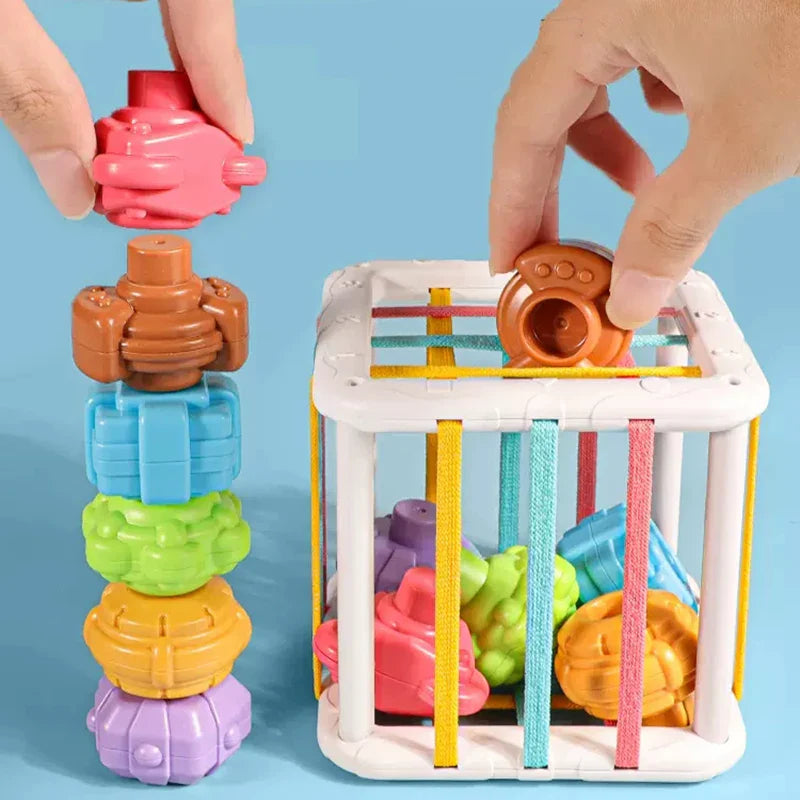 Educational Shape Sorting Baby Toy