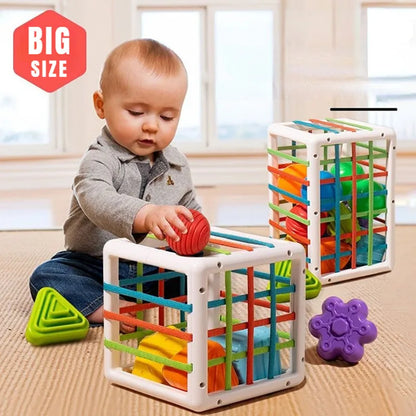 Colorful Shape Blocks Sorting Game