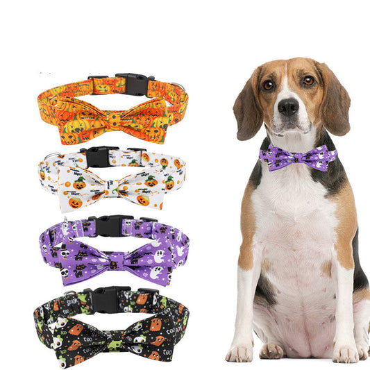 Colliers pour chiens d'Halloween