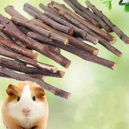 Apple Branch Bites for Small Pets